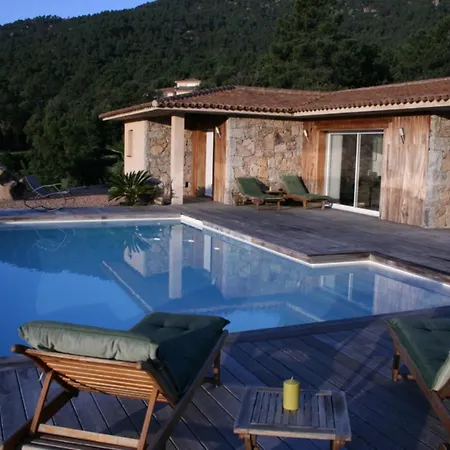 De Caractere En Pierre Et Bois Avec Piscine *