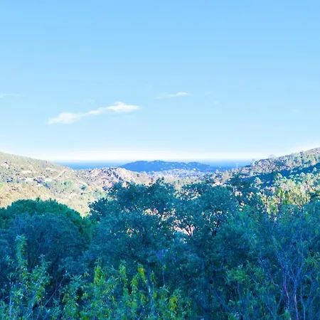 De Caractere En Pierre Et Bois Avec Piscine Villa